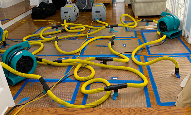 Professional Water Extraction technician working in Adelanto, CA